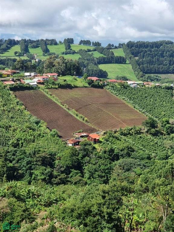 Cirri Sur, Naranjo, Naranjo, Alajuela, Costa Rica 20604