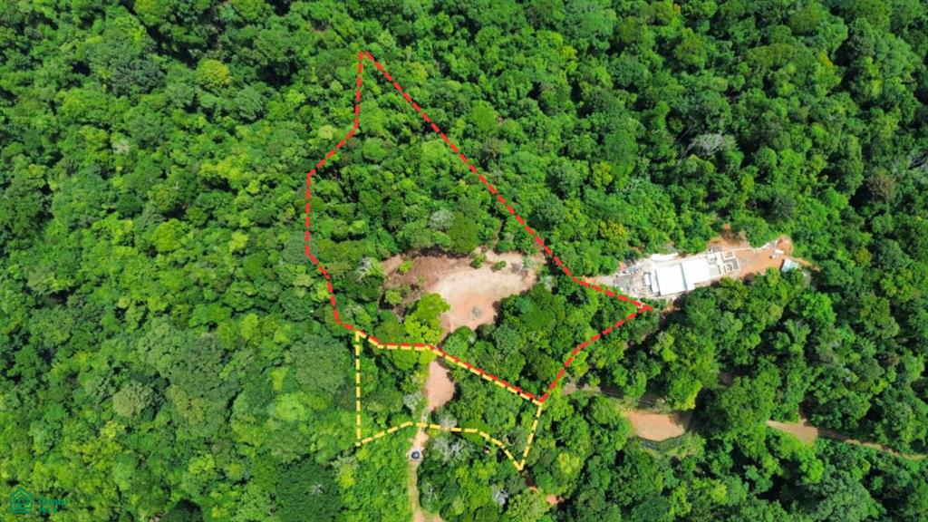 Vergel De Osa 600 Metres From El Pavon Waterfall Puntarenas