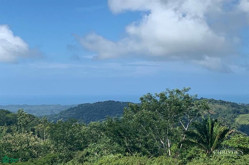 Finca Naranjalito, Beln De Nosarita, Nicoya, Nicoya, Guanacaste, Costa Rica 50207