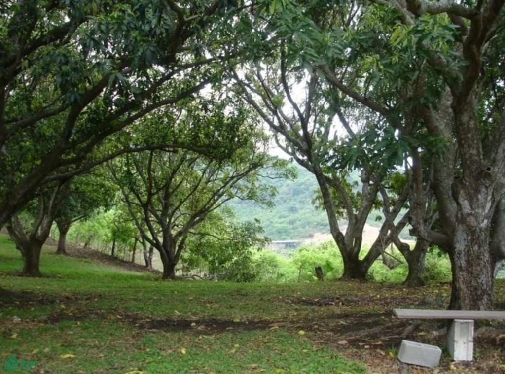 Orotina, Orotina, Orotina, Alajuela, Costa Rica