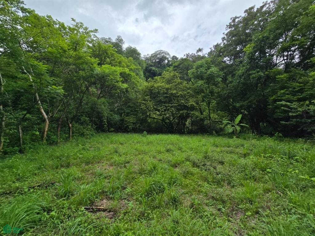 Atenas, Atenas, Atenas, Alajuela, Costa Rica