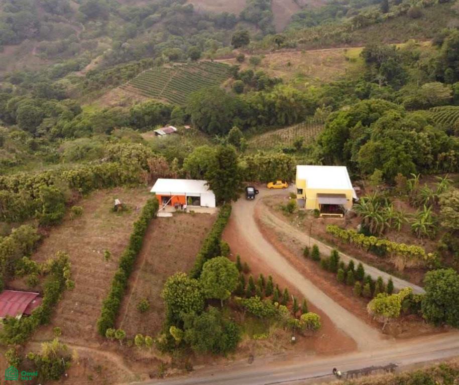 224255 Cirri Sur, Cirri Sur, Naranjo, Naranjo, Alajuela, Costa Rica 20604