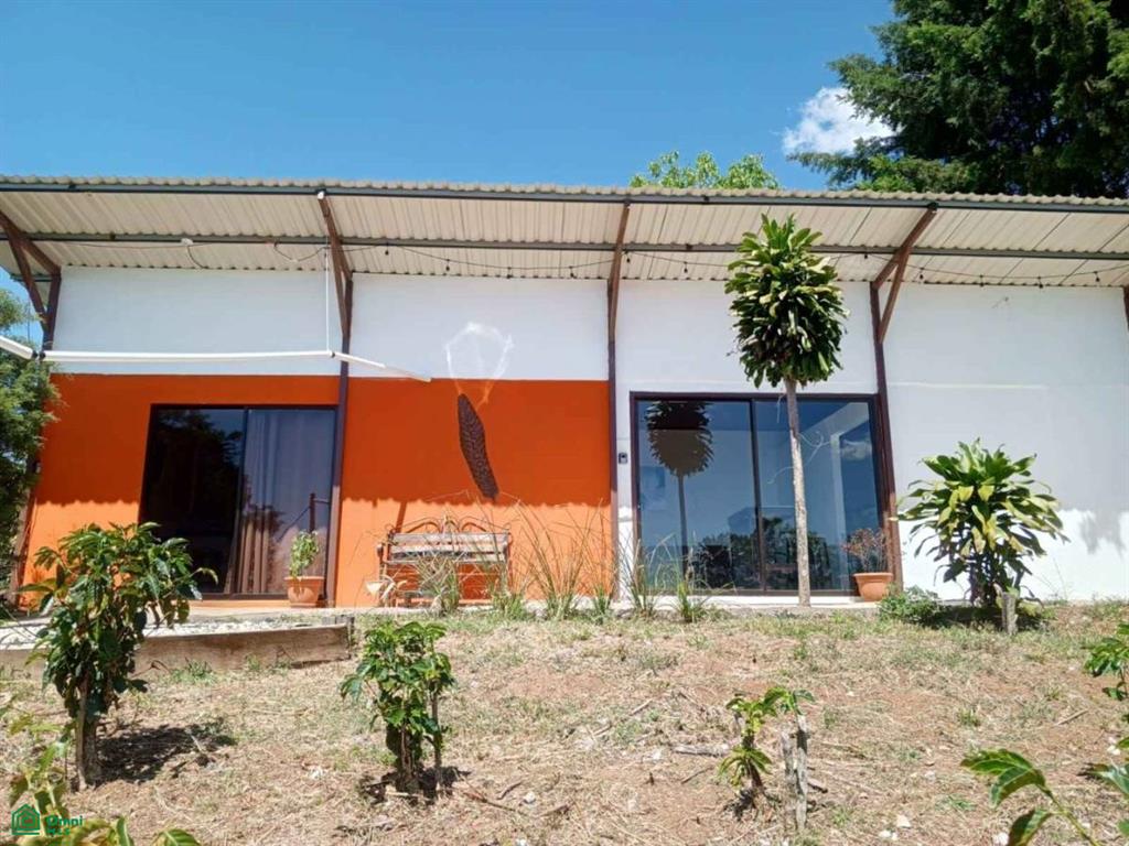 Cirri Sur, Naranjo, Naranjo, Naranjo, Alajuela, Costa Rica 20601