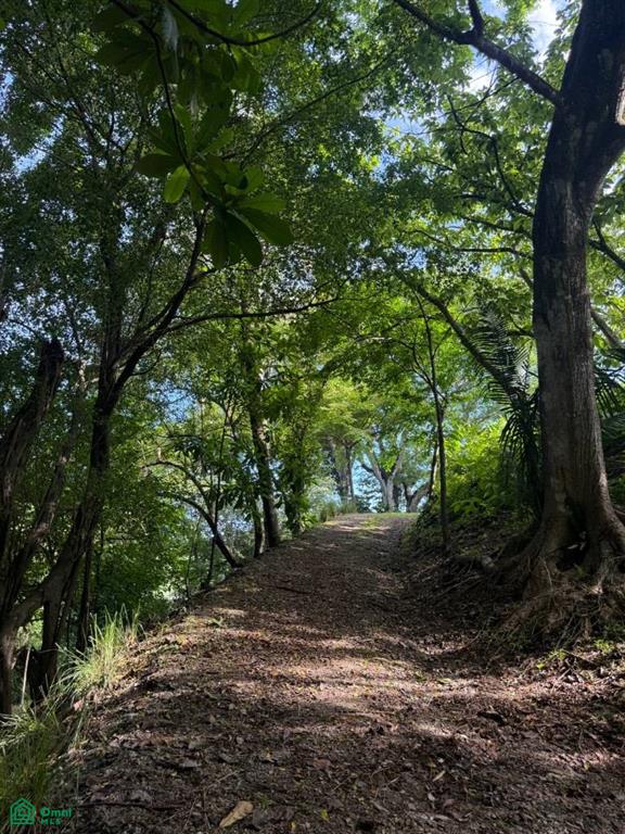Lote En Nosara, Nosara, Nicoya, Nicoya, Guanacaste, Costa Rica