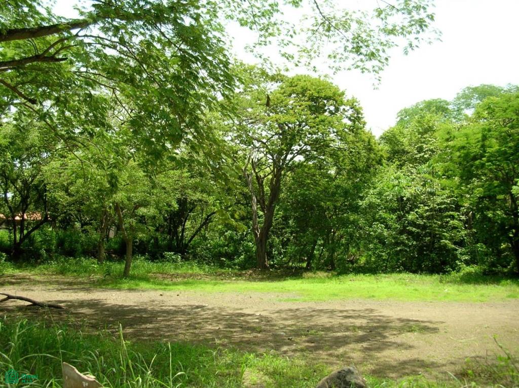 Walking Distance Beachside Corner Lot With Water Sardinal Guanacaste