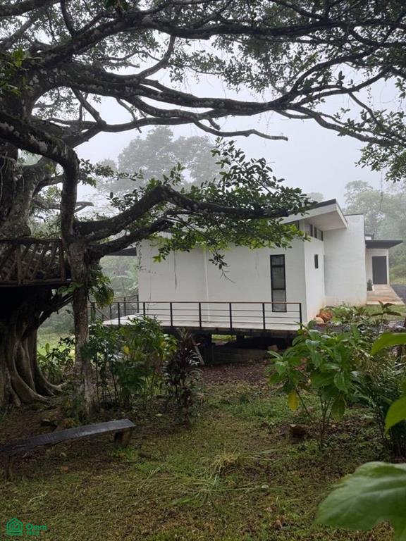 Casa Alegre, San Mateo, San Mateo, San Mateo, Alajuela, Costa Rica