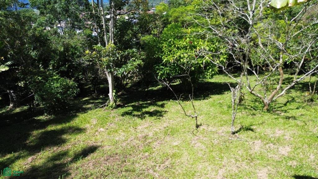 s/n La Dominica, Turrialba, Turrialba, Turrialba, Cartago, Costa Rica 30501
