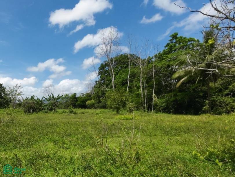 1 Chachagua - Los Angeles, San Ramn, San Ramon, San Ramon, Alajuela, Costa Rica 21007
