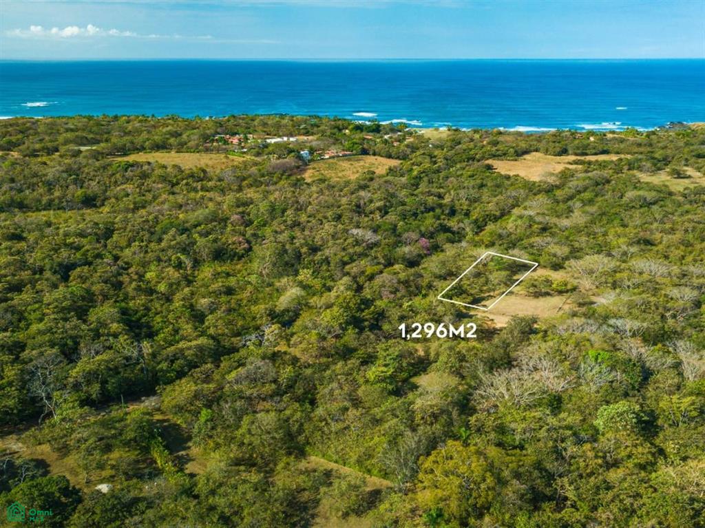 Orchards Of Playa Blanca Santa Cruz Guanacaste