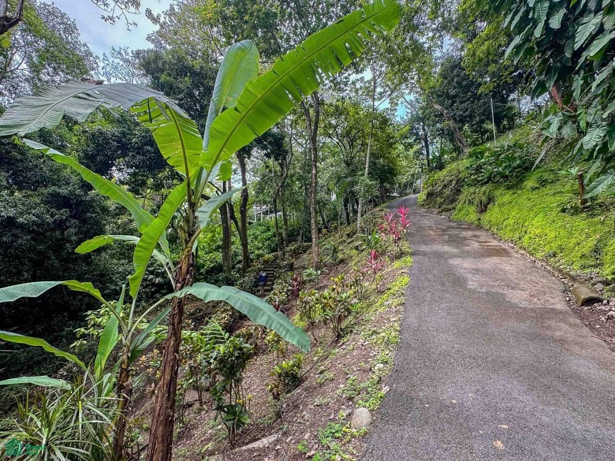Ocean View Estate Property, Quepos, Puntarenas, Costa Rica 60601