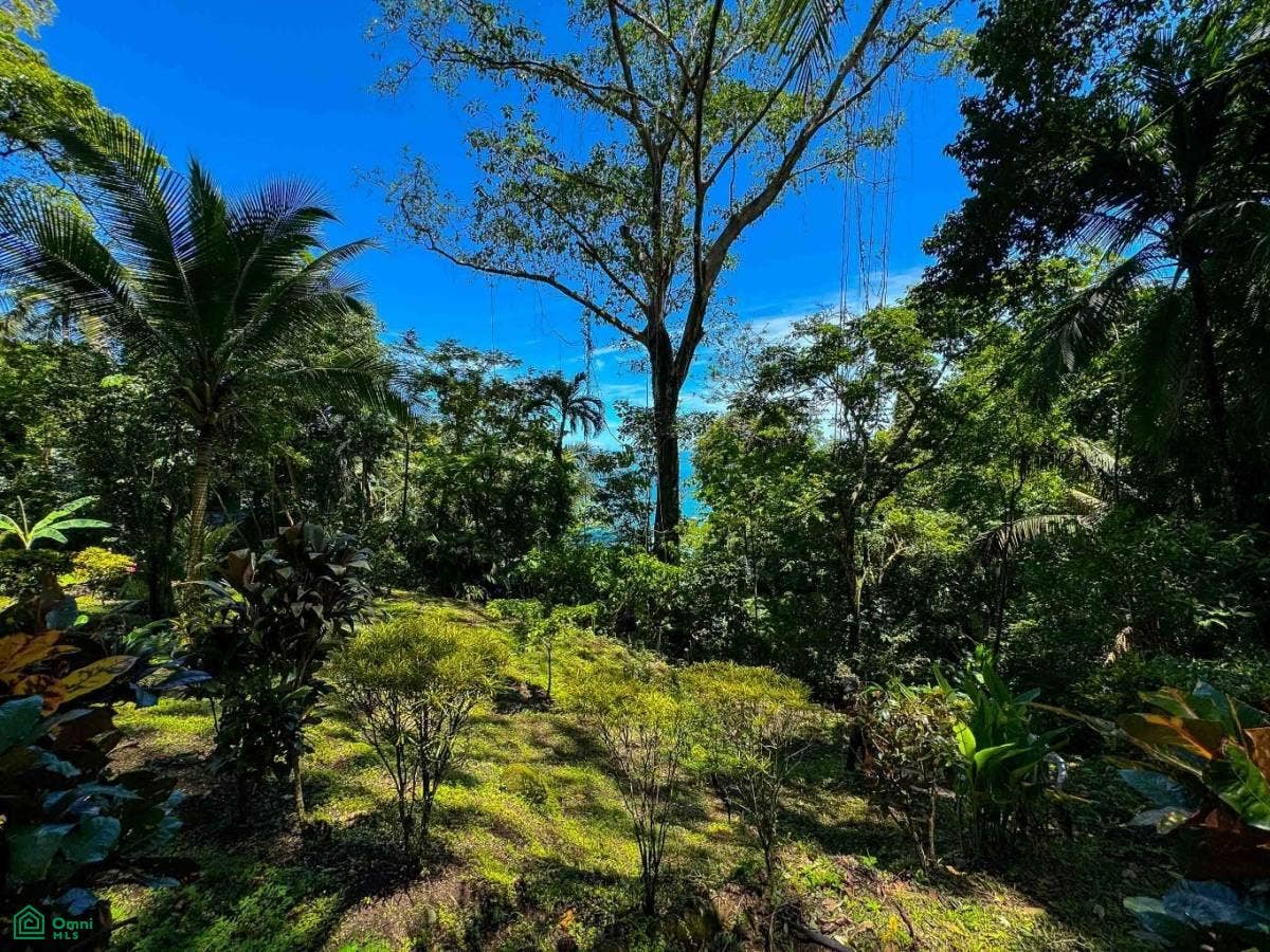 Ocean View Estate Property, Quepos, Puntarenas, Costa Rica 60601
