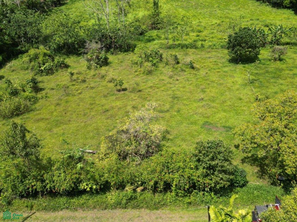 1 Chachagua - Los Angeles, San Ramn, San Ramon, San Ramon, Alajuela, Costa Rica 21007