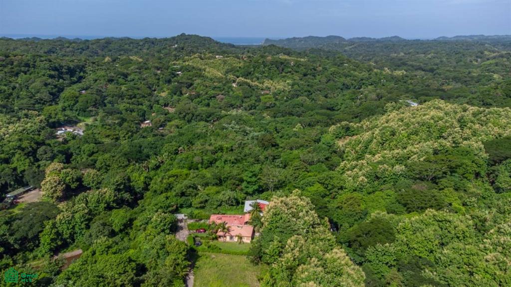 Casa Verde Samara Guanacaste