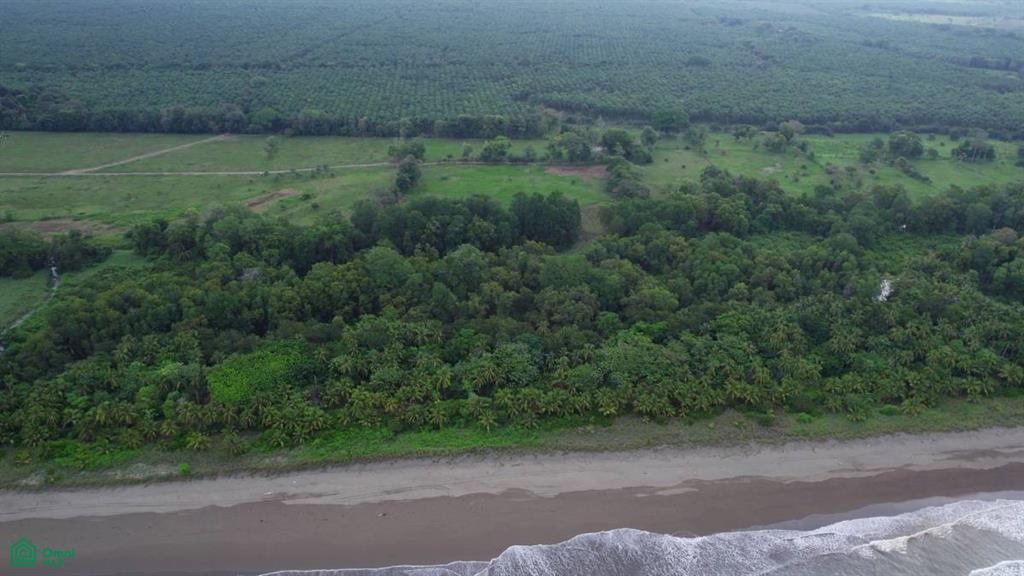 Beachfront Finca 91 Acres Puntarenas