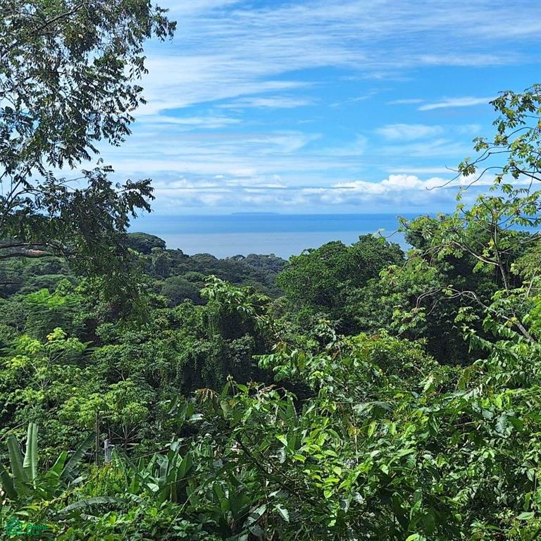 337 Acres Lot Puntarenas
