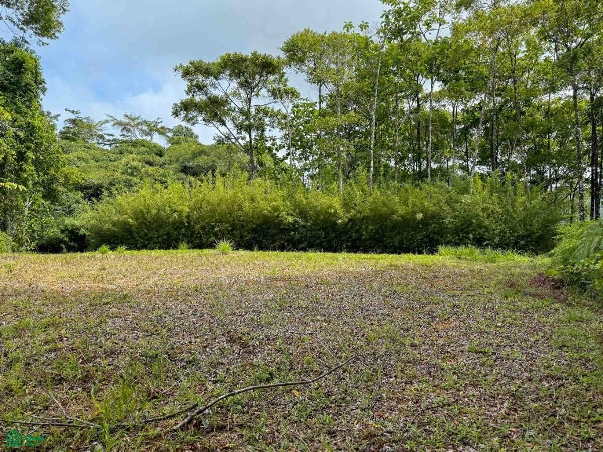 Ocean View Luxury Homesite, Baha Ballena, Osa, Puntarenas, Costa Rica 11909 Ocean View Luxury Homesite, Baha Ballena, Osa, Puntarenas, Costa Rica 11909