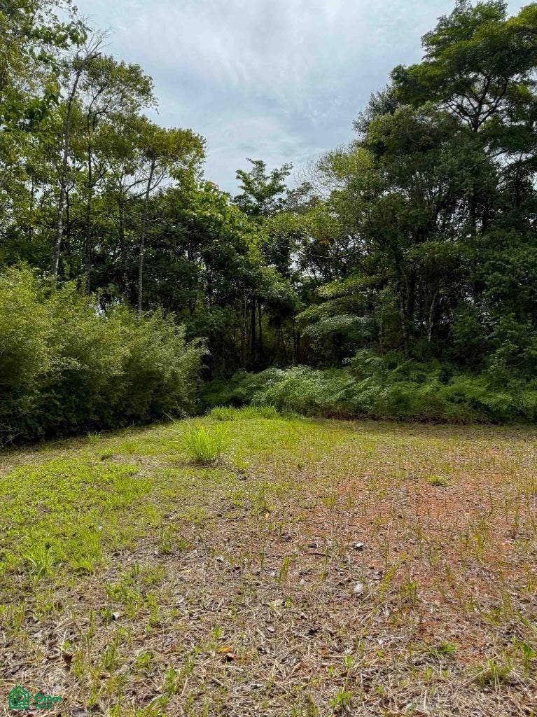 Ocean View Luxury Homesite, Baha Ballena, Osa, Puntarenas, Costa Rica 11909 Ocean View Luxury Homesite, Baha Ballena, Osa, Puntarenas, Costa Rica 11909
