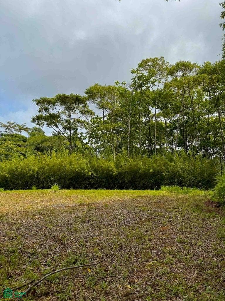 Ocean View Luxury Homesite, Baha Ballena, Osa, Puntarenas, Costa Rica 11909 Ocean View Luxury Homesite, Baha Ballena, Osa, Puntarenas, Costa Rica 11909