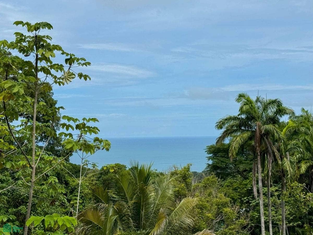 Ocean View Luxury Homesite, Baha Ballena, Osa, Puntarenas, Costa Rica 11909 Ocean View Luxury Homesite, Baha Ballena, Osa, Puntarenas, Costa Rica 11909