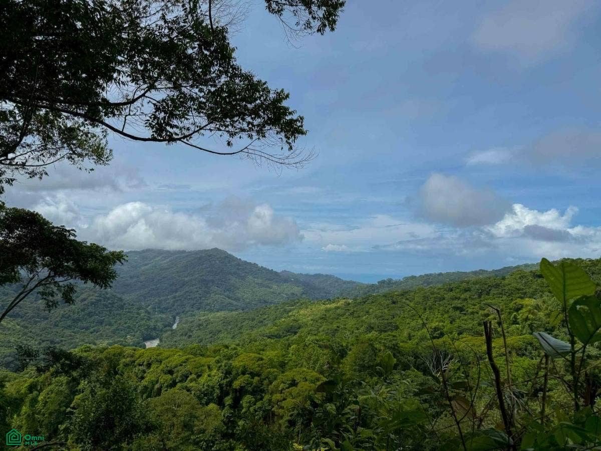 Flat Ocean View Lot in Gated Community, Dominical, Puntarenas, Costa Rica 11909