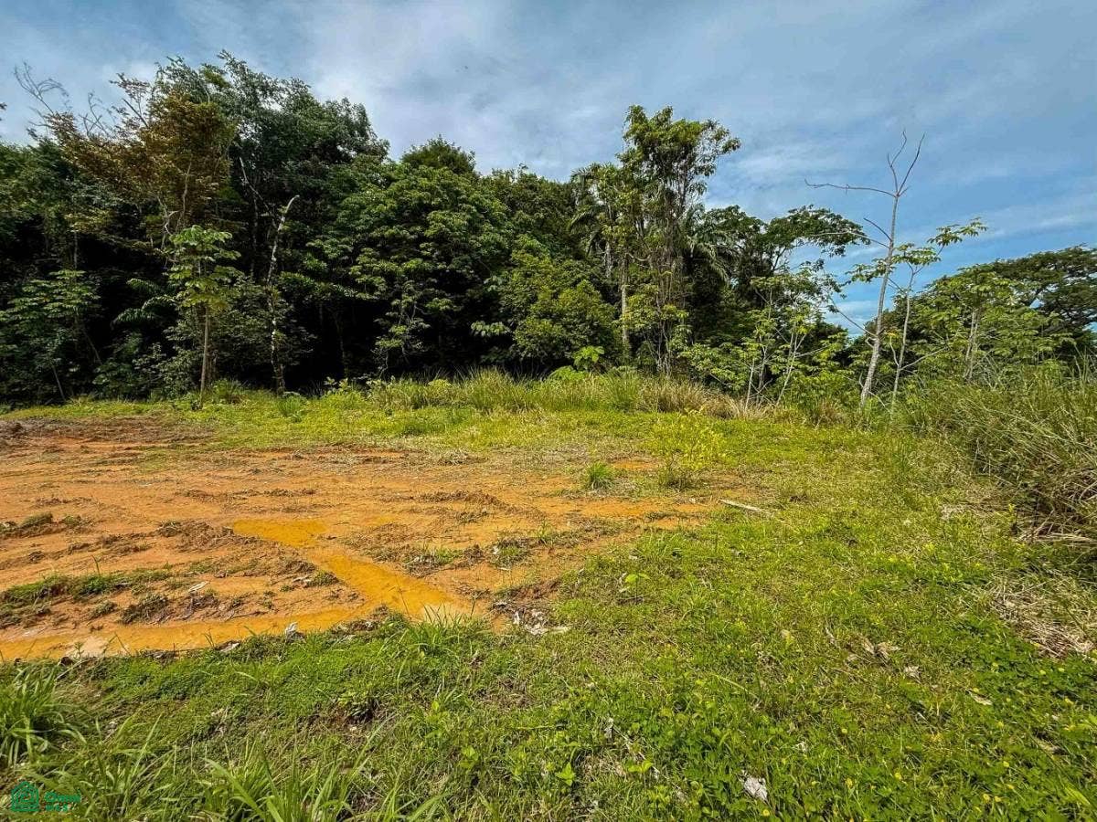 Flat Ocean View Lot in Gated Community, Dominical, Puntarenas, Costa Rica 11909