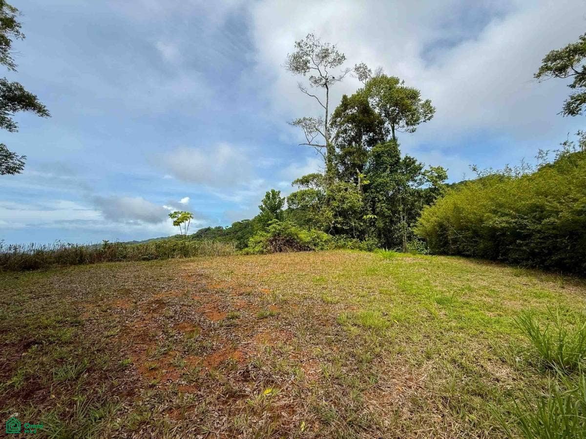 Flat Ocean View Lot in Gated Community, Dominical, Puntarenas, Costa Rica 11909