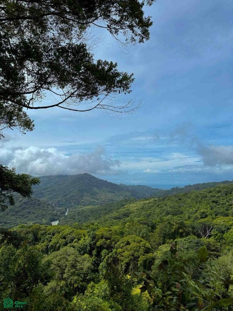 Flat Ocean View Lot in Gated Community, Dominical, Puntarenas, Costa Rica 11909