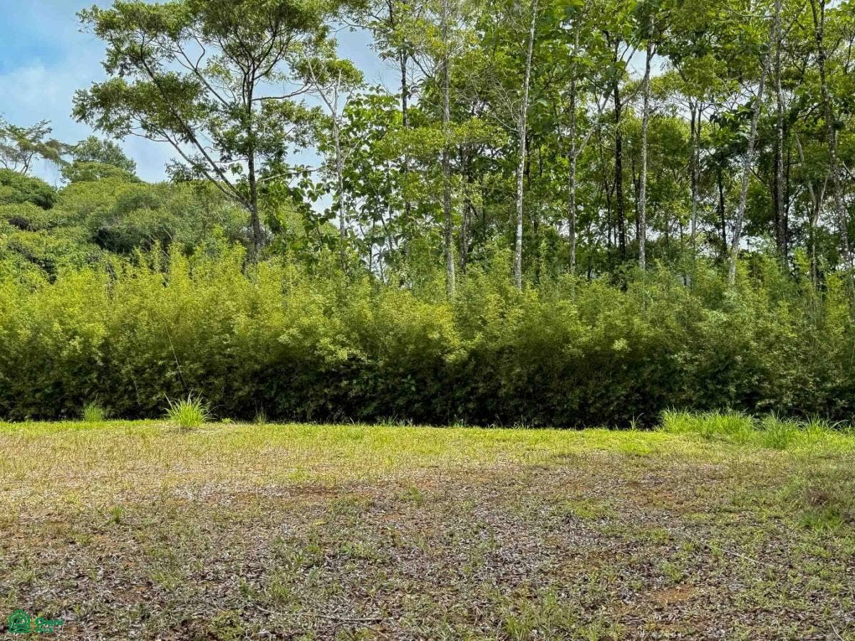 Flat Ocean View Lot in Gated Community, Dominical, Puntarenas, Costa Rica 11909