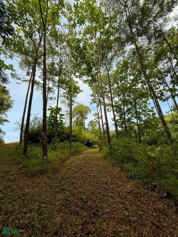Flat Ocean View Lot In Gated Community Puntarenas