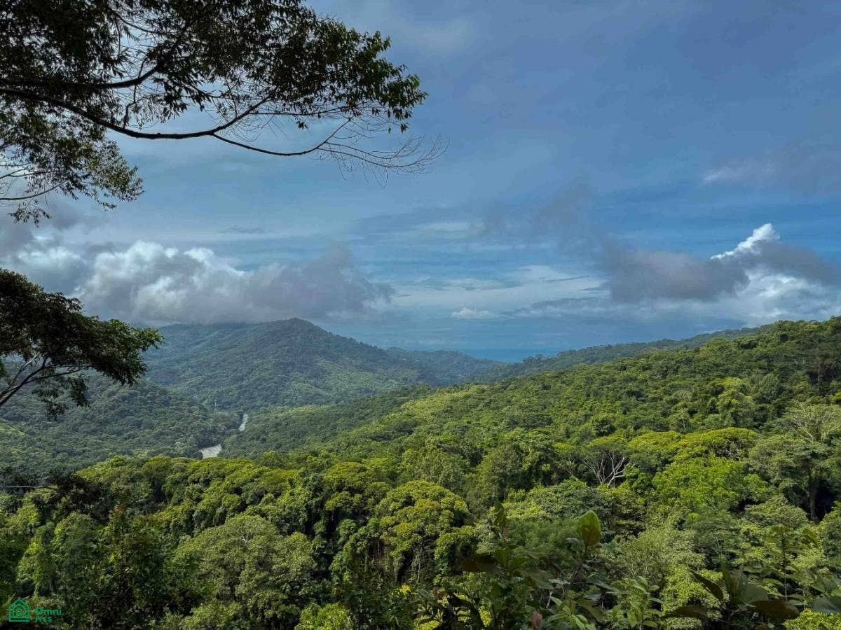 Flat Ocean View Lot in Gated Community, Dominical, Puntarenas, Costa Rica 11909
