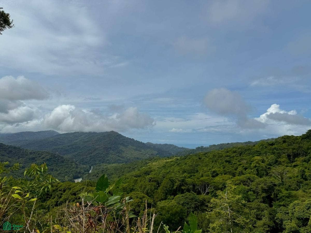 Flat Ocean View Lot in Gated Community, Dominical, Puntarenas, Costa Rica 11909