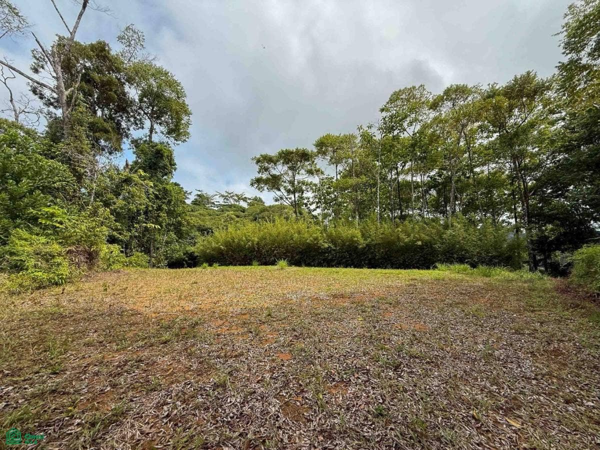 Flat Ocean View Lot in Gated Community, Dominical, Puntarenas, Costa Rica 11909