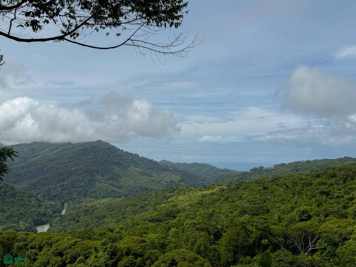 Flat Ocean View Lot in Gated Community, Dominical, Puntarenas, Costa Rica 11909