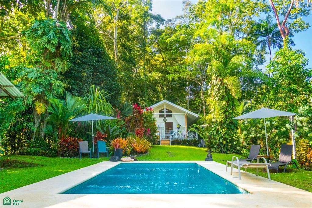 Punta Uva Calle Publica Limon