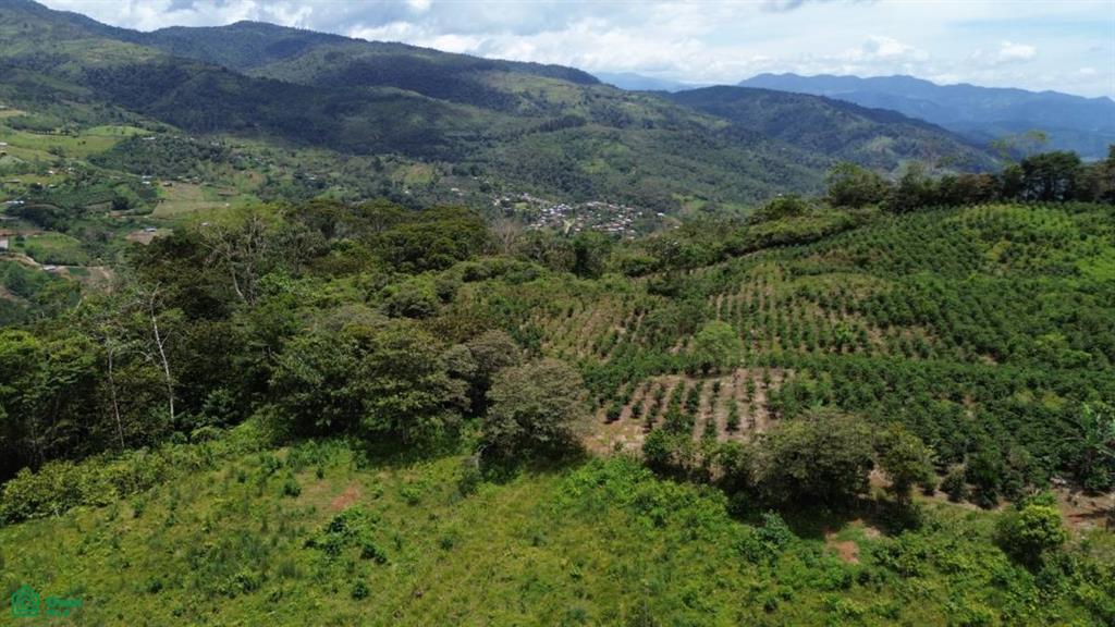 s/n Montesión, Tuis, Turrialba, Turrialba, Cartago, Costa Rica 30507