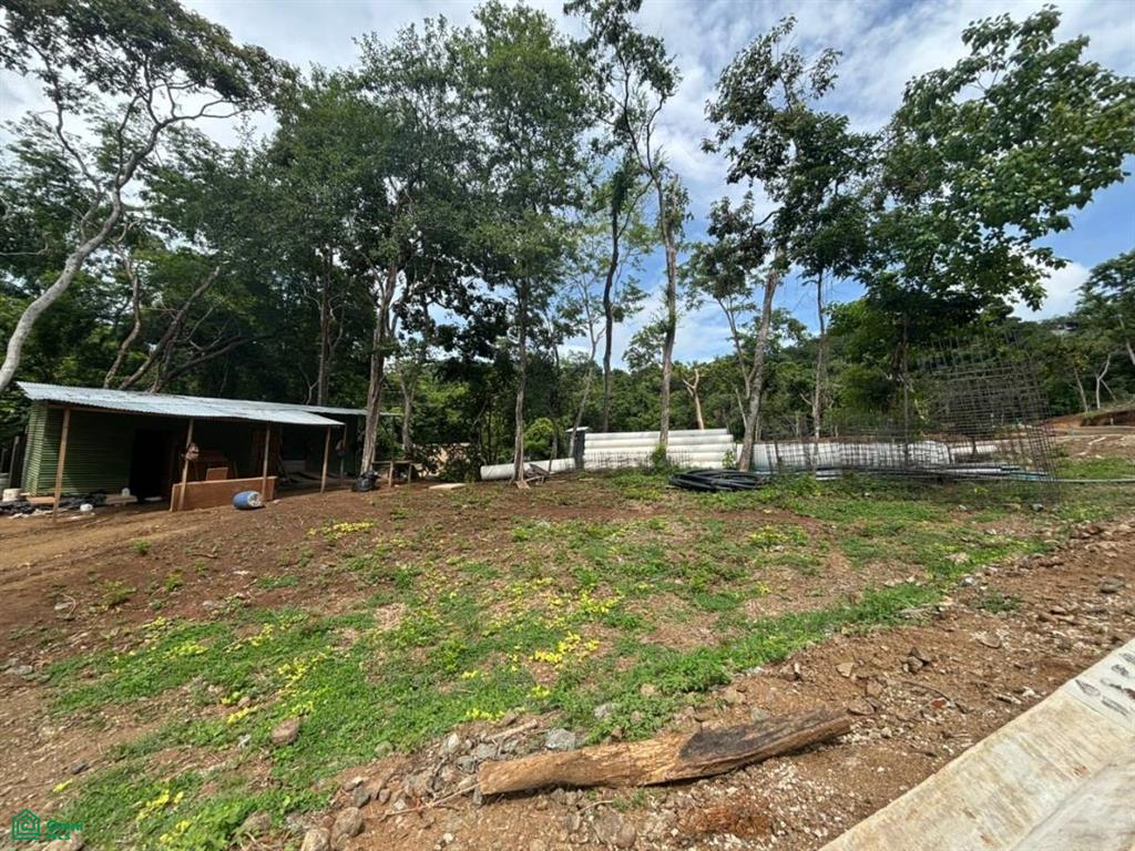 203 Ron Ron Santa Cruz Guanacaste