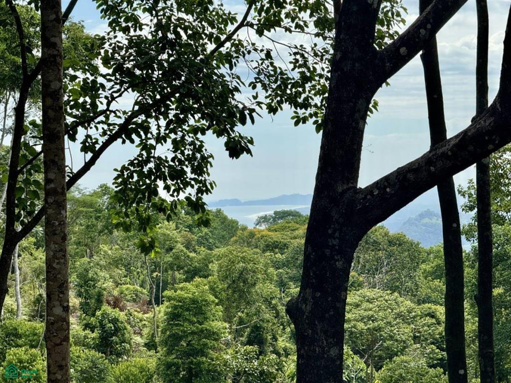 Lagunas Puntarenas