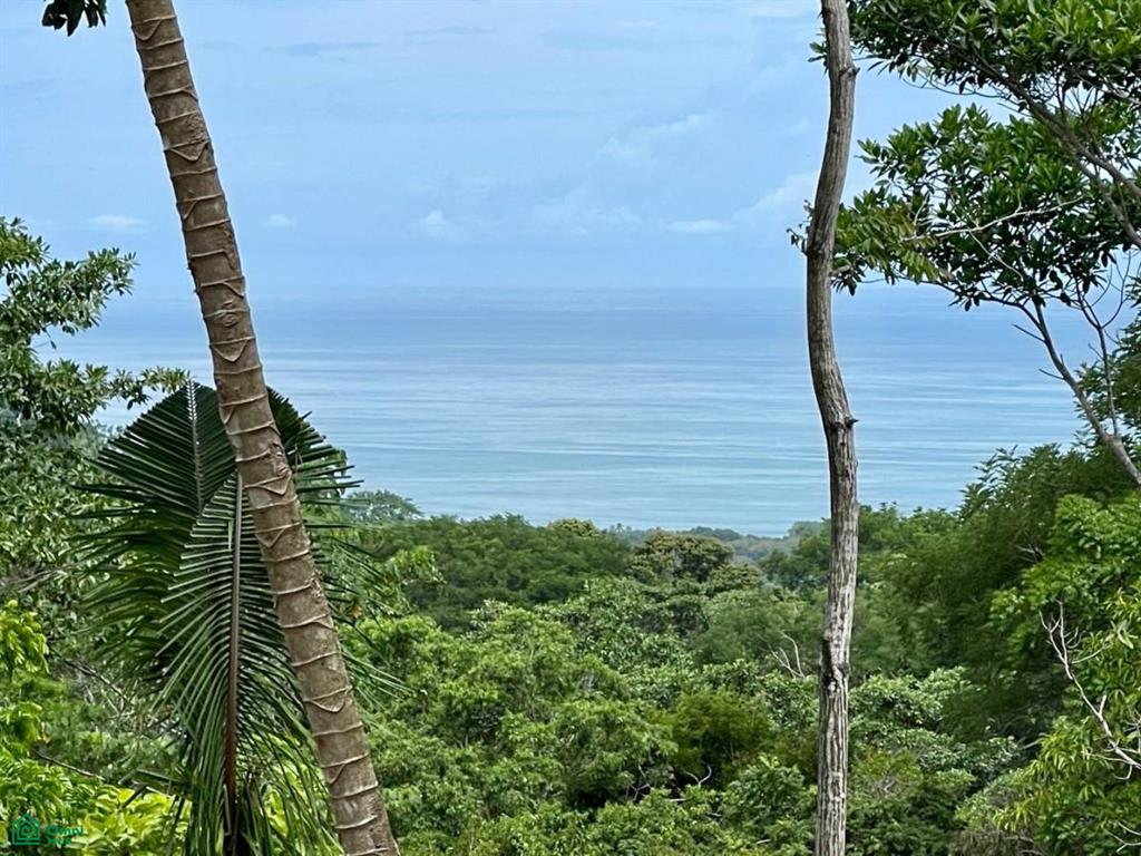Hatillo Puntarenas