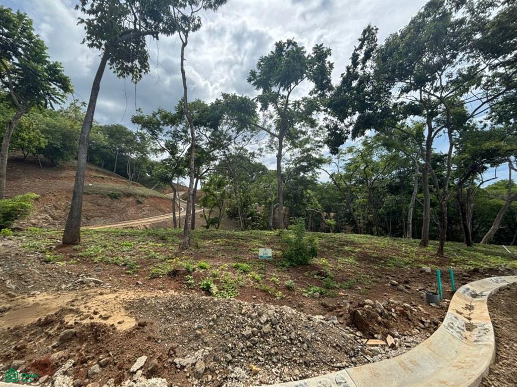 200 Ron Ron Santa Cruz Guanacaste
