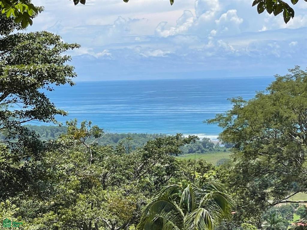 Hatillo Puntarenas
