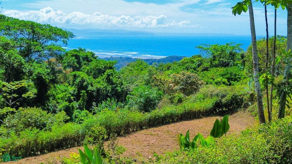 Sn Proyecto Ballena Views Cinco Ventanas Puntarenas