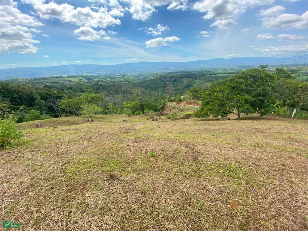 Platanillo San Jose