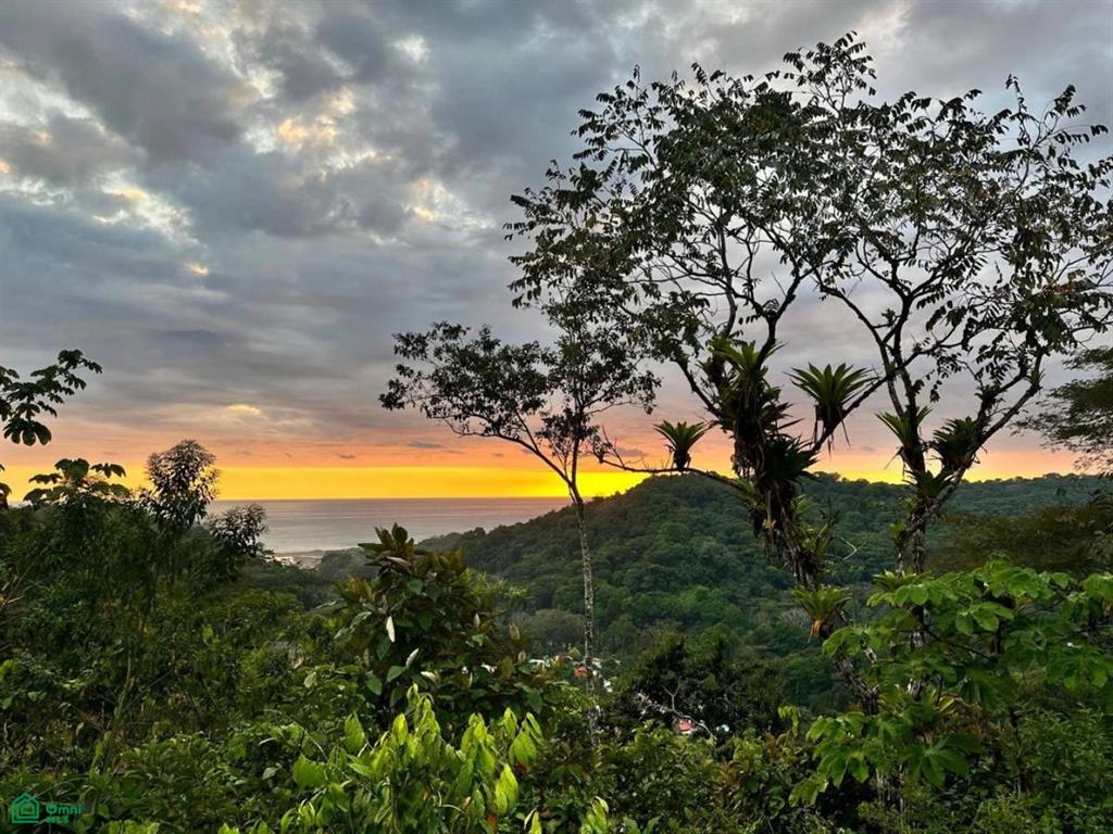 Dominical Puntarenas