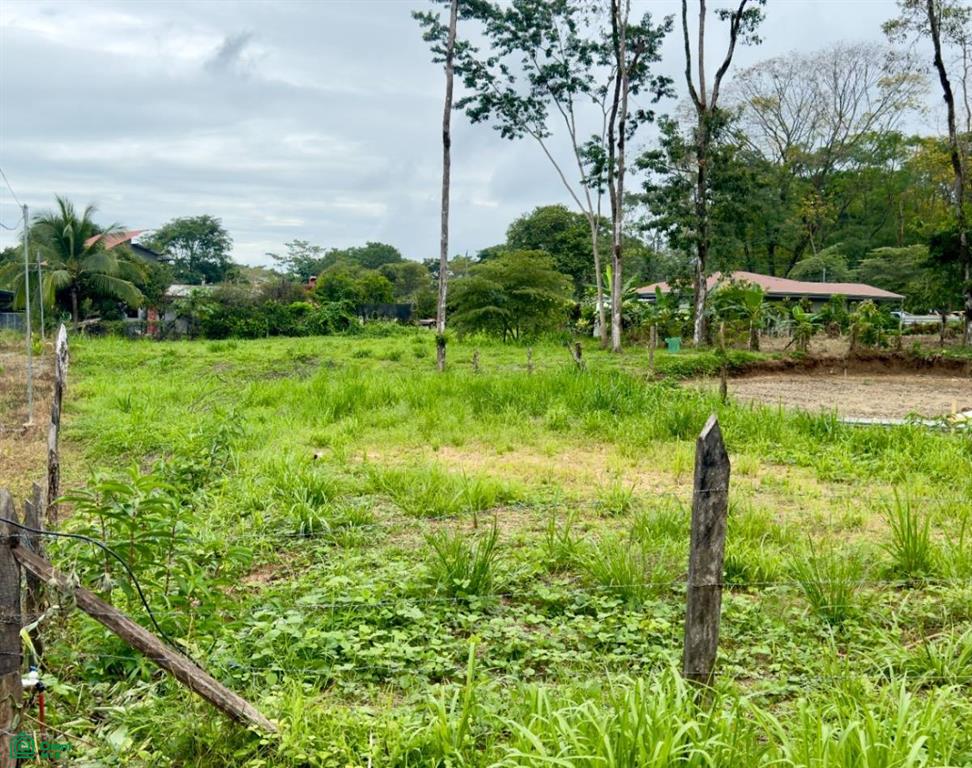 Uvita Puntarenas