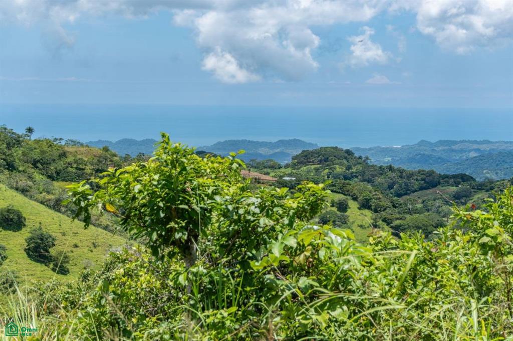 Casa Tosh Belen De Nosarita Guanacaste