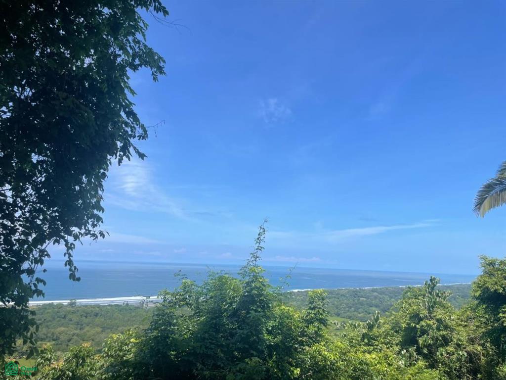 Playa Hermosa Puntarenas