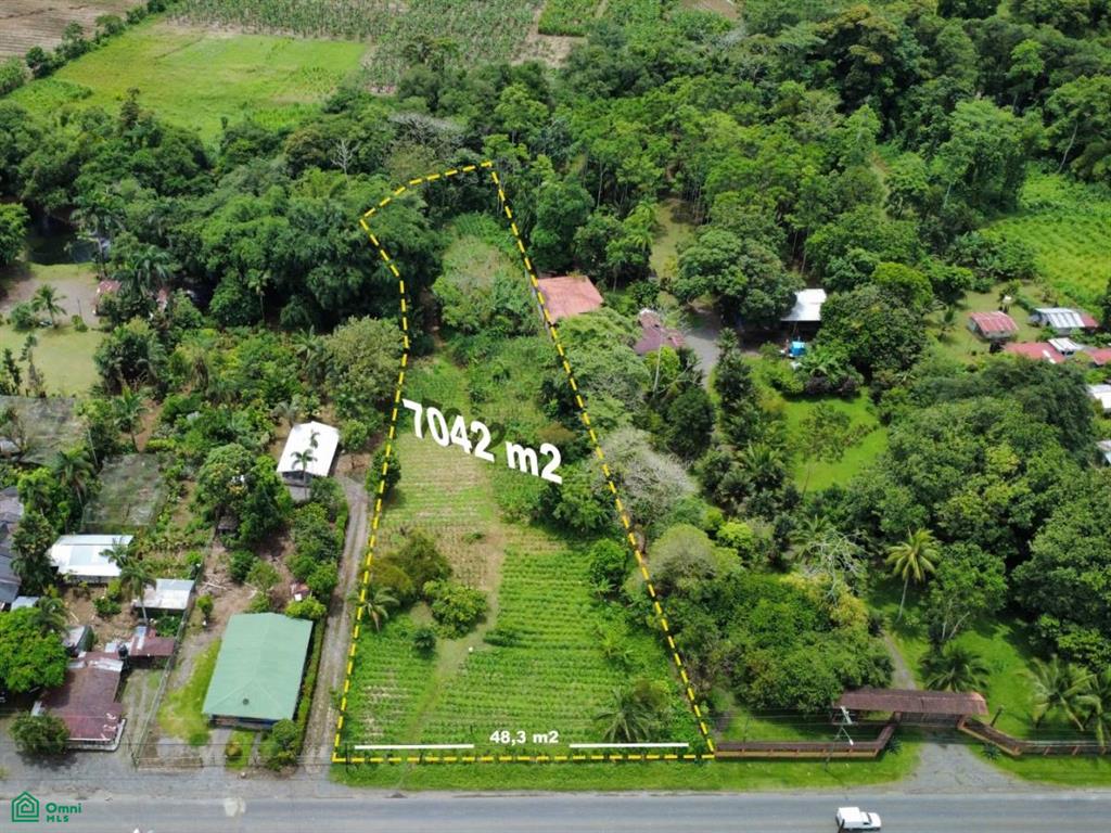 248 San Antonio Limon
