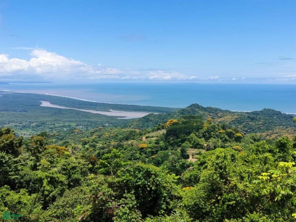 Puntarenas