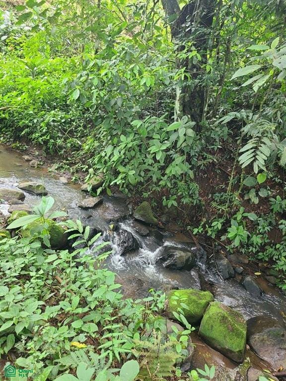 Tronadora, Tilaran, Tilaran, Guanacaste, Costa Rica