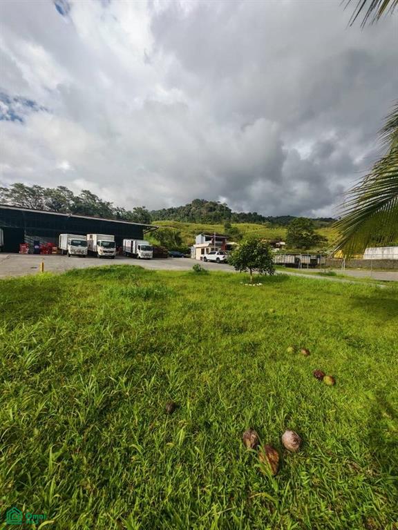 s/n Turrialba Centro, Turrialba, Turrialba, Turrialba, Cartago, Costa Rica 30501